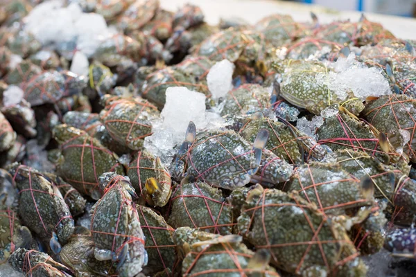 Primer plano de venta de cangrejo azul fresco en el mercado asiático de pescado —  Fotos de Stock