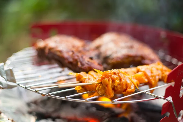 バーベキュー グリル鶏肉庭でクッキング. — ストック写真