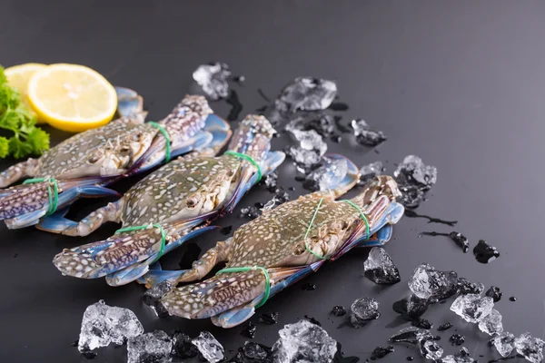 Fresh blue crab raw material — Stock Photo, Image