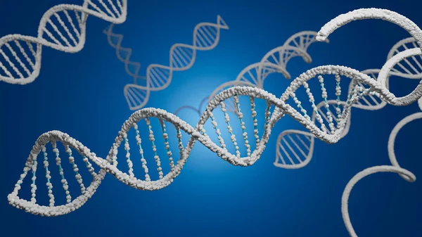 3D rendering DNA structure of human for clone life bio technology gene. Close up molecular of human life of biochemistry concept.