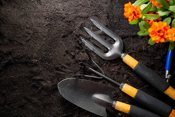 Zahradní Nástroje Pro Zahájení Vaší Malé Zahradní Rostliny Vybavení Zemědělství — Stock fotografie