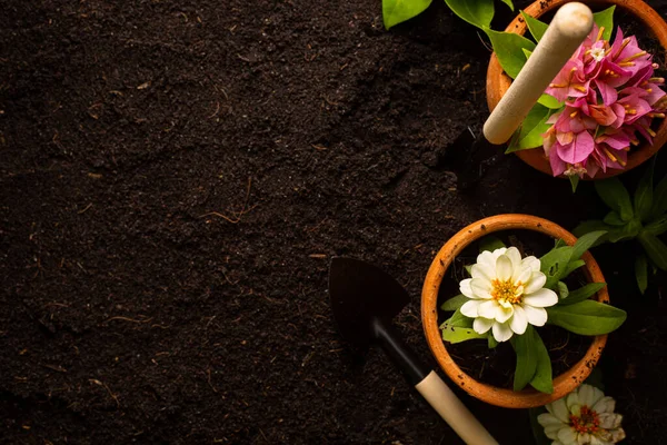 Râteau Bêches Outils Transplantation Avec Fond Vue Supérieure Jardinage Maison — Photo