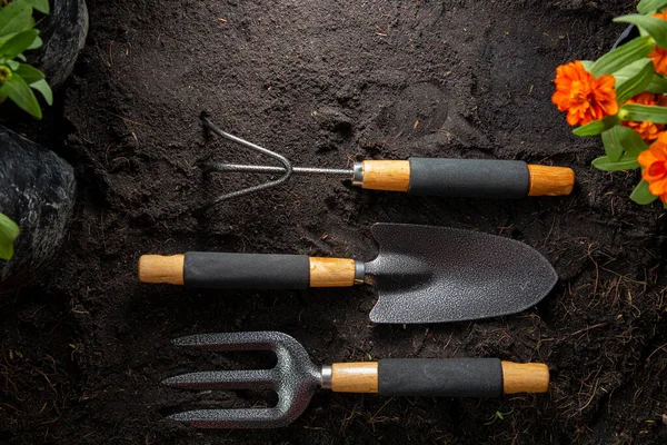Gardening Tools Beginning Your Small Garden Plant Equipment Agriculture Set — Stock Photo, Image
