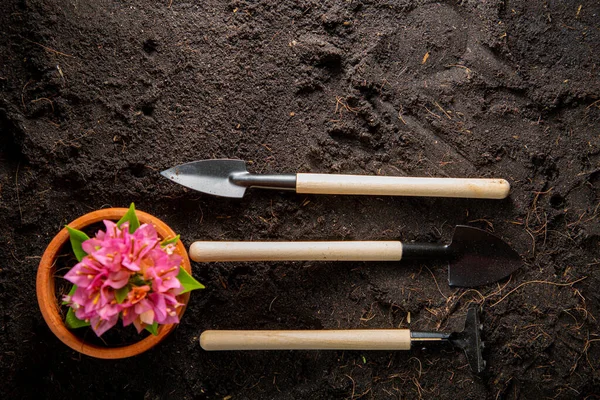 Rake Spades Transplanting Tools Top View Background Home Gardening Arranges — Stock Photo, Image