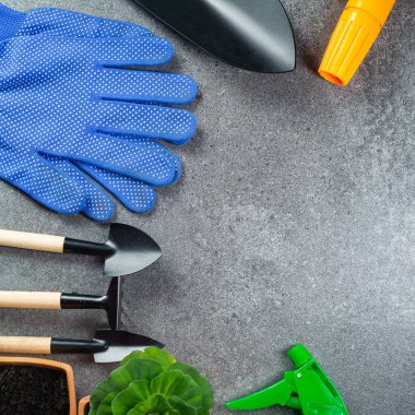 Bahçe aletleri bahçeniz için çoklu enstrüman ve tasarımınız için pankartlı çiçek. Tarım araçları için üst görünüm alanı evde kalmak için hooby.