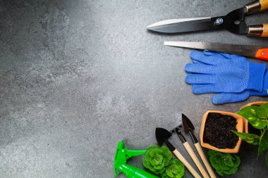 Bahçe aletleri bahçeniz için çoklu enstrüman ve tasarımınız için pankartlı çiçek. Tarım araçları için üst görünüm alanı evde kalmak için hooby.