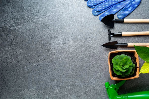 Tuinieren Tools Meerdere Instrument Voor Tuin Bloem Met Banner Voor — Stockfoto