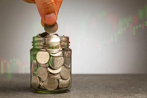 Geld Wächst Für Investitionen Ihre Finanz Sparen Sie Ihre Budgetentwicklung — Stockfoto