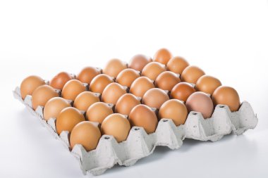 Yumurta karton kağıt 