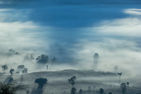 Východ slunce na šířku — Stock fotografie