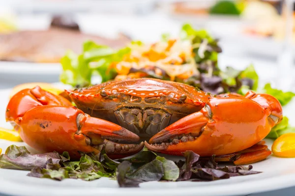 Singapore chili mud crab — Stock Photo, Image