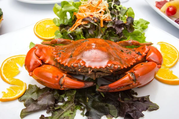 Singapore chili mud crab — Stock Photo, Image