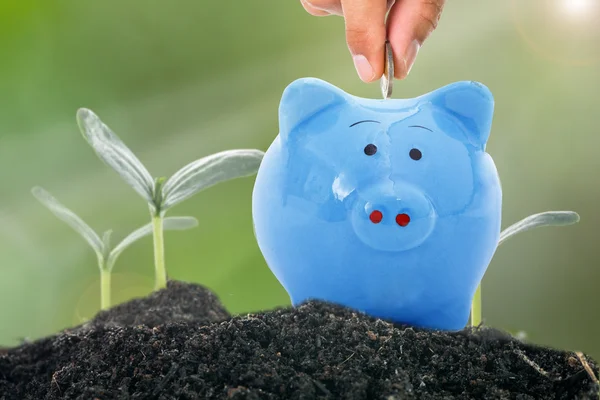 Deposit money to piggy bank — Stock Photo, Image