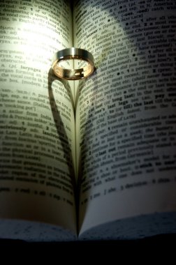 Kalp gölge orta kitap