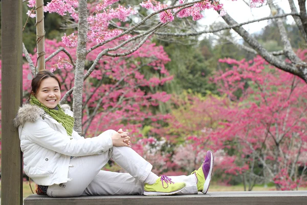 Kinesisk kvinna sitta och njuta i Cherry blossom trädgård — Stockfoto