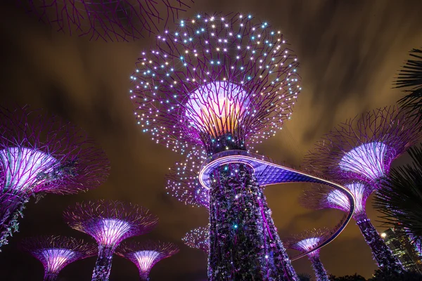MARINA BAY, CINGAPORE, 16 de março de 2015: Noite de show de luz Big Tree — Fotografia de Stock