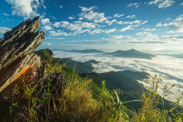 Bergnebel der thailändischen Landschaft — Stockfoto