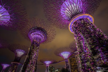Marina Bay, Singapur, 16 Mart 2015: büyük ağaç ışık gösterisi gece