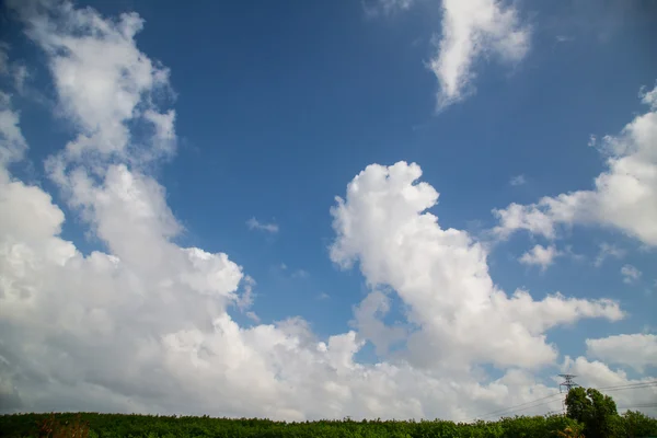 Nube de cielo —  Fotos de Stock
