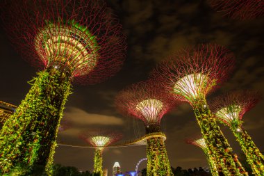 Marina Bay, Singapur, 16 Mart 2015: büyük ağaç ışık gösterisi gece