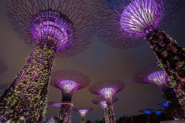 Marina Bay, Singapore, 16. März 2015: große Baum-Lichtshow-Nacht — Stockfoto