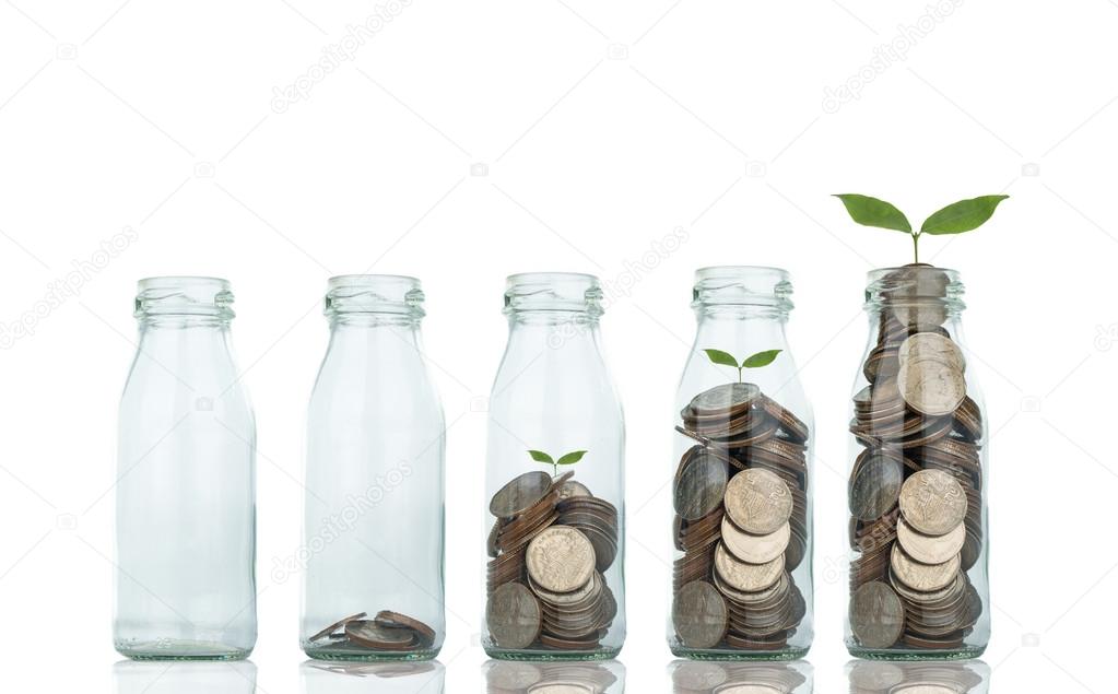 Growing plant step with coin money 