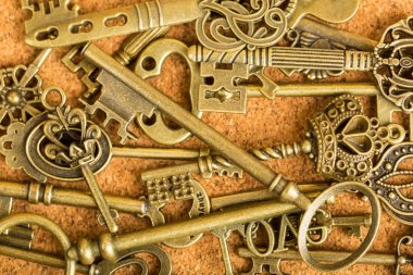 tuvalet kağıdı rulosu