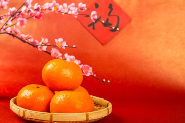 İyi şanslar, servet ve nimet Çin yeni yılı turuncu meyve karakter 