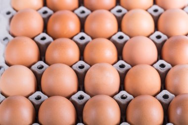 Eggs for cooking your food