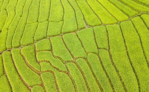 バーン チェンマイ県 タイの棚田の美しい空中風景 — ストック写真