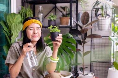 Mutlu Asyalı kadın bahçe evindeki çömleğe yeşil bitkiler sıkıyor.