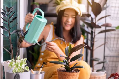Bahçe evinde yeşil bitkileri sulayan mutlu Asyalı kadın.