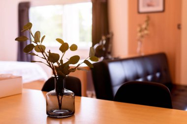 Cam kapta yeşil bitkiler ve yatak odasındaki iç dekorasyon, havayı bitkiyle temizler.