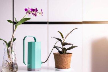 Masadaki plastik sulama tenekesinin yeşil rengi, bahçe malzemeleri.