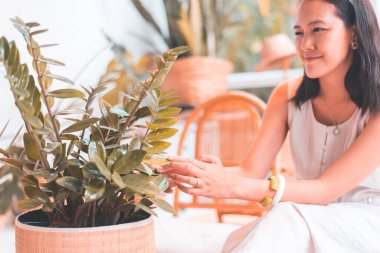 Güzel Asyalı kadın arabasını al, bitkilerini temizle, bitki bakımı...