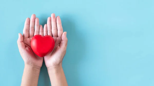 Manos Gente Sosteniendo Modelo Rojo Del Corazón Backgroung Azul Concepto —  Fotos de Stock