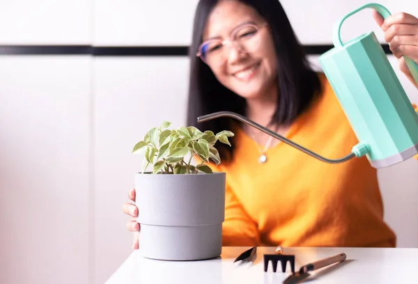 Heureux Asiatique Femme Arrosage Vert Plantes Dans Pot Jardin Maison — Photo