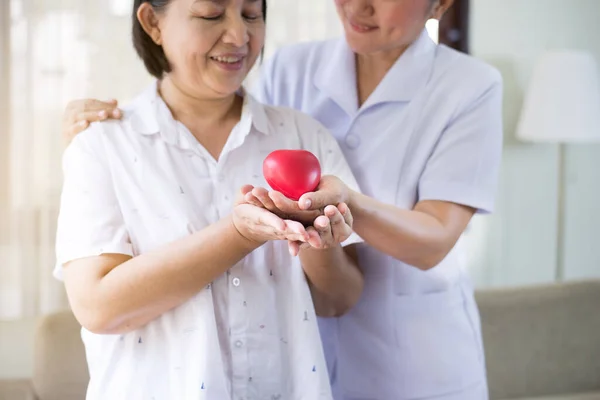 Krankenschwester Und Asiatische Ältere Frau Halten Herz Rotes Modell Auf — Stockfoto