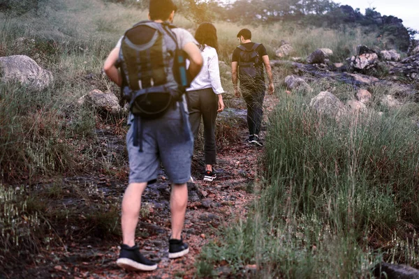 Grupo Amigos Viajantes Caminhando Juntos Floresta Tropical Gostando Conceito Mochila — Fotografia de Stock