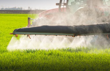 Traktör püskürtme buğday alanı 