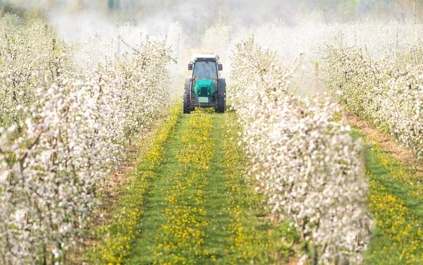 Tractor pulveriza insecticida —  Fotos de Stock
