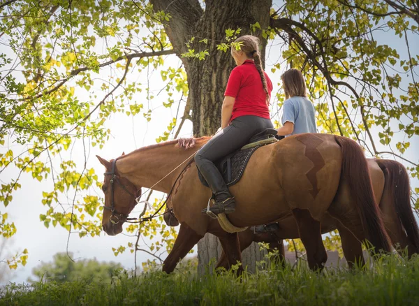 Girls on a horse — Stock Photo, Image