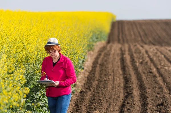 Nspecting kwaliteit van olie verkrachting — Stockfoto