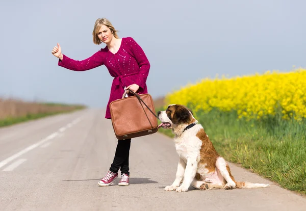 Beautiful traveller girl — Stock Photo, Image