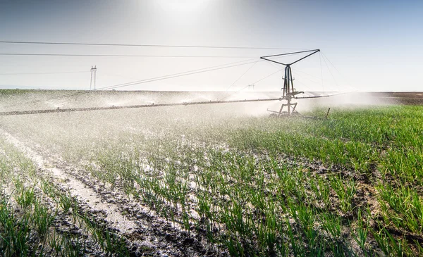 Fields with irrigation system — Stock Photo, Image