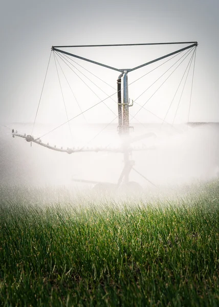 Fields with irrigation system — Stock Photo, Image