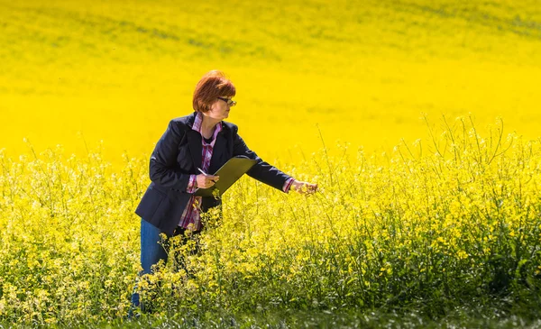 Nspecting kwaliteit van olie verkrachting — Stockfoto