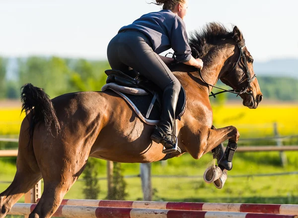 Девушка прыгает с лошади — стоковое фото