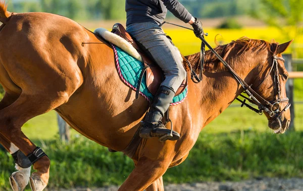 Girl jumping with horse — Stock Photo, Image