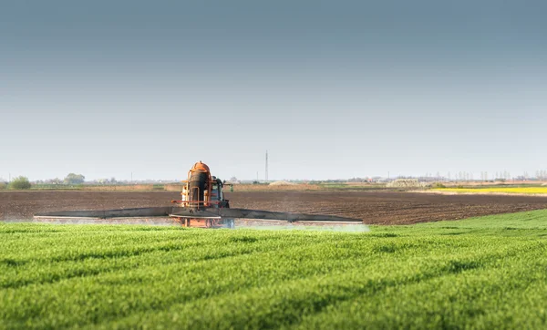 Tractor rociando campo de trigo — Foto de Stock